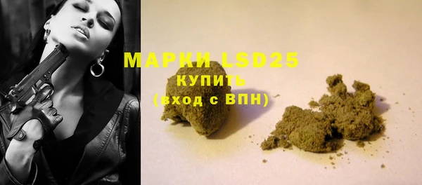 сатива Кулебаки