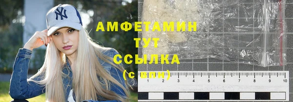 сатива Кулебаки