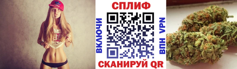 Бошки марихуана MAZAR  Купить закладки  Заречный 